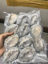 Theo ông Trường, bào ngư tươi sống chỉ có hàng của Australia và Hàn Quốc được phép nhập chính ngạch.