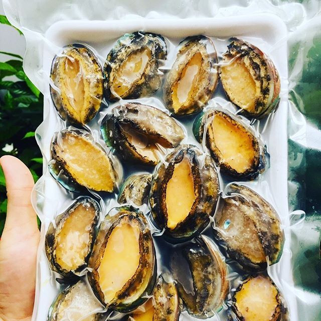 Ông Trường khẳng định, bào ngư mà nhiều cửa hàng online rao bán với giá rẻ, chỉ vài trăm nghìn/kg là hàng đông lạnh hoặc hàng nhập lậu từ Trung Quốc.