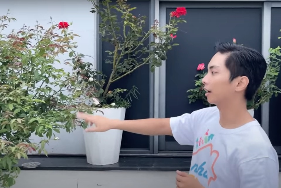 Trong thời gian giãn cách, không được ra ngoài, Khánh Thi vẫn thoải mái vì có không gian vườn xanh mướt, tràn ngập hương hoa do chính tay ông xã trồng.