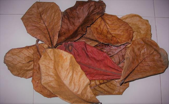 Một số trang thương mại điện tử bán lá bàng khô giá từ 16.000 - 20.000 đồng/100g. Ảnh: Dân Việt.