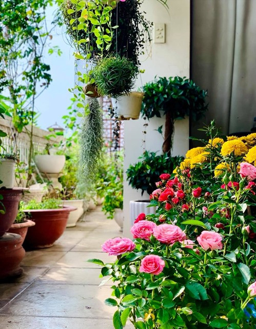 Một góc khác đầy màu sắc trên ban công nhà Mỹ Lệ. Ảnh: Lao động