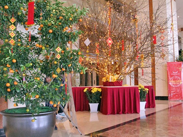 Các loại cây và hoa thường được trang trí nhiều vào ngày Tết cổ truyền gồm hoa mai, hoa đào, hoa cúc, đồng tiền, cây quất...Ngoài ra, còn có một số loại cây phong thủy như cây kim tiền, cây phát tài, cây trầu bà...