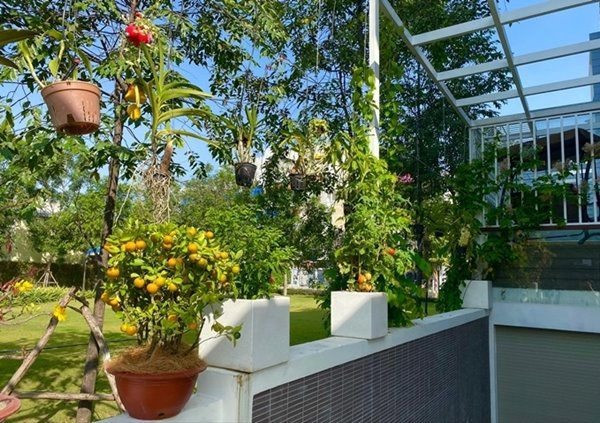 Cô thiết kế một khu vườn trồng nhiều trái cây, rau sạch để dùng làm thức ăn cho gia đình.