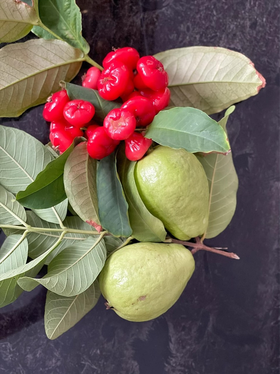 Thành quả thu hoạch trong khu vườn của Trịnh Kim Chi. Nguồn ảnh: FBNV