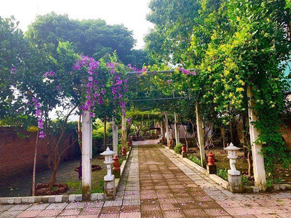 Lối đi từ cổng vào khuôn viên được phủ bởi một màu xanh mướt mát của cây cối. Ảnh: Vietnamnet.
