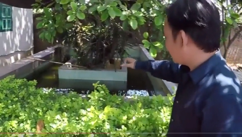 Ngoài ra, nghệ sĩ còn nuôi cả chim, thú, cá để thỏa mãn thú vui điền viên. Ảnh: Vnexpress.