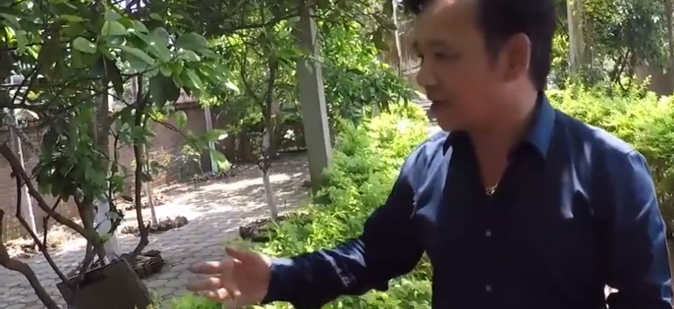 Các loại cây này không phải quý hiếm nhưng là công sức nam nghệ sĩ sưu tầm được từ những lần đi diễn nên anh rất trân trọng. Ảnh: Vnexpress