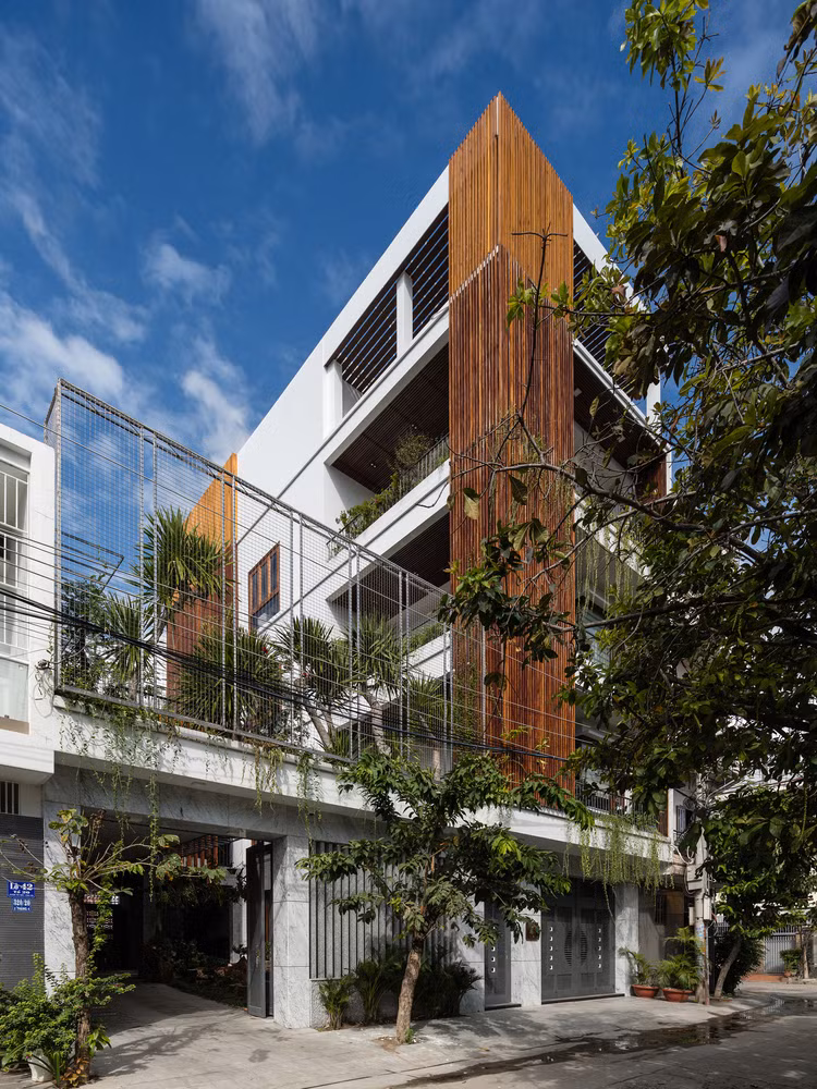 Bao My ngo ngang nha Viet so huu khu vuon tu tang tret len mai