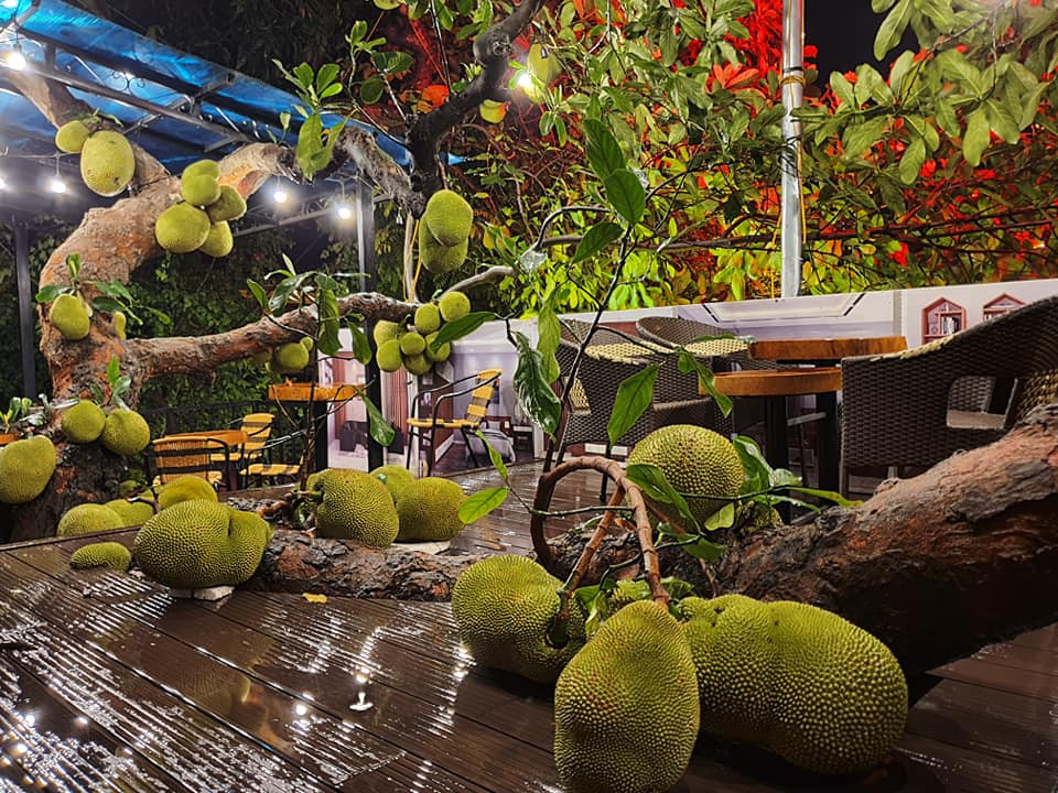 Theo những hình ảnh được đăng tải, cây mít đặc biệt này có lẽ đã khá lâu năm nên thân cây vươn rất cao, được chủ quán thiết kế cho đâm xuyên qua sàn tầng 2.