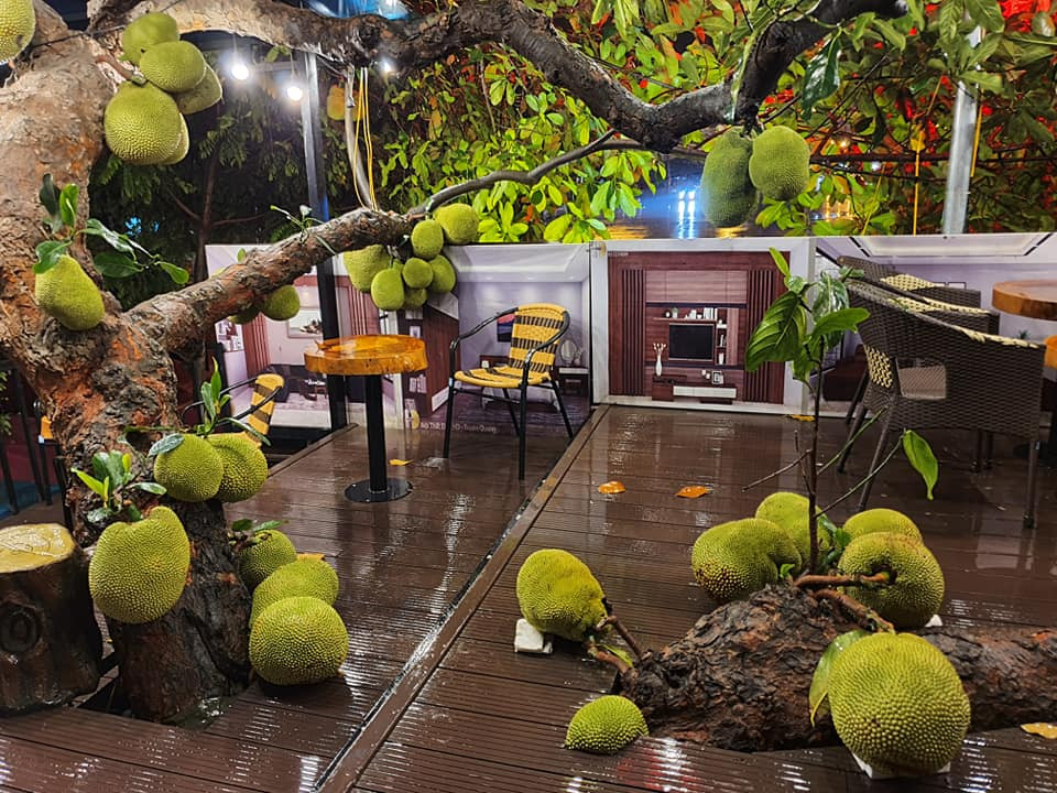 Những quả mít nằm "vạ vật" ngay dưới sàn nhà khiến ai nấy đều thích thú.