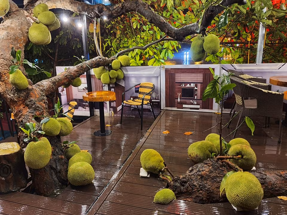 Những quả mít nằm "vạ vật" ngay dưới sàn nhà khiến ai nấy đều thích thú.