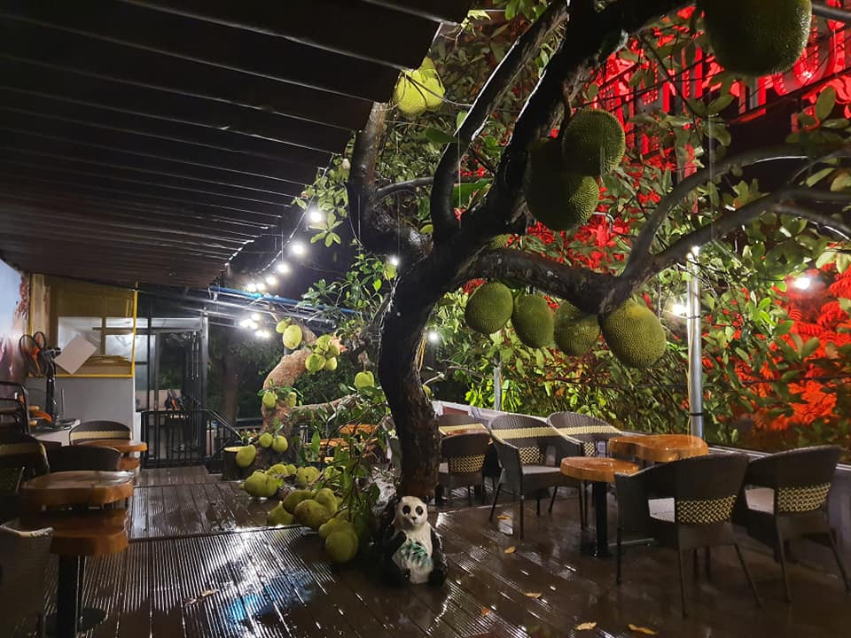 Quán cà phê độc đáo này có 2 tầng, với sàn tầng 2 là khung sắt thép, ốp nhựa vân gỗ để cây mọc xuyên qua. Phần dưới sàn là mái tôn mát có chống thấm.