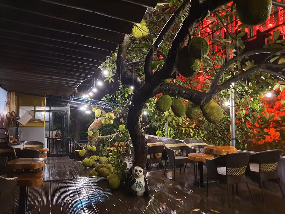 Quán cà phê độc đáo này có 2 tầng, với sàn tầng 2 là khung sắt thép, ốp nhựa vân gỗ để cây mọc xuyên qua. Phần dưới sàn là mái tôn mát có chống thấm.