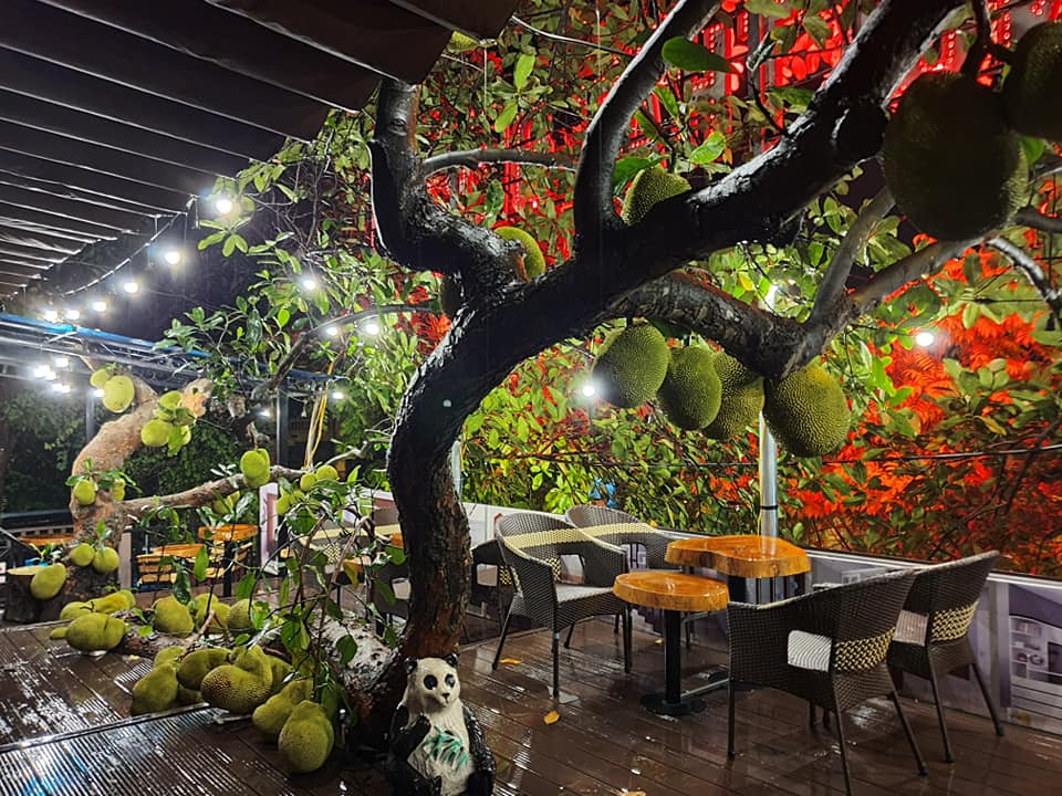 Sau khi hình ảnh được chia sẻ, cộng động mạng đều ngạc nhiên bởi rất hiếm hoi mới được chiêm ngưỡng một cây mít sai quả như thế.