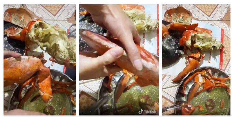 Một khách hàng mua tôm hùm Alaska trên mạng lên đến cả triệu đồng/kg song khi hấp chín chỉ toàn vỏ và nước.