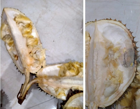 Khi shipper giao hàng, chị T chủ quan không kiểm tra kỹ, lúc bổ ra mới thấy toàn sầu đông lạnh, nhão nhoét, thối mốc cả bên trong.