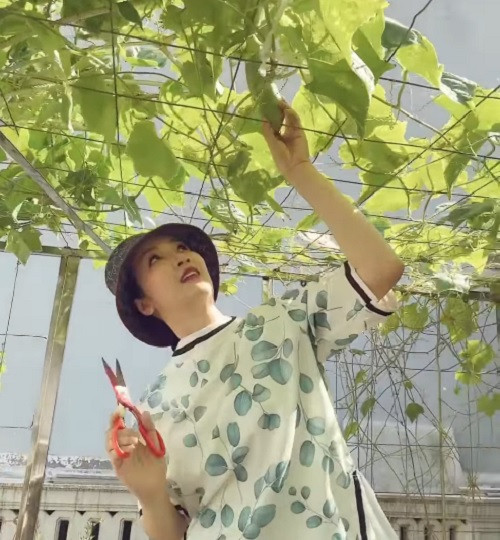 Hoa hậu đền Hùng Giáng My cho biết sáng nào hai mẹ con cũng ra vườn tận hưởng niềm vui nhìn giàn mướp đã có thêm mấy trái to. Ảnh chụp màn hình