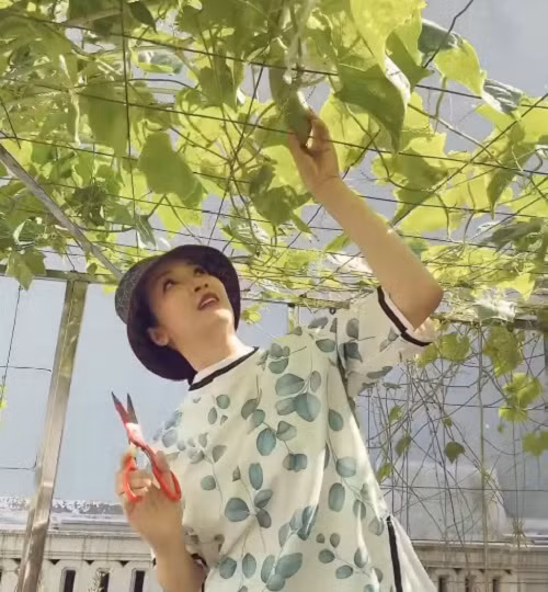 Hoa hậu đền Hùng Giáng My cho biết sáng nào hai mẹ con cũng ra vườn tận hưởng niềm vui nhìn giàn mướp đã có thêm mấy trái to. Ảnh chụp màn hình