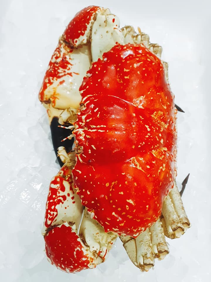 Tuy nhiên, thời điểm giáp Tết Tân Sửu 2021, cua Tasmania Úc về Việt Nam có giá rẻ hơn nhiều, dao động từ 3-4 triệu đồng/kg, áp dụng dụng cho loại có trọng lượng từ 2,5-7 kg/con.