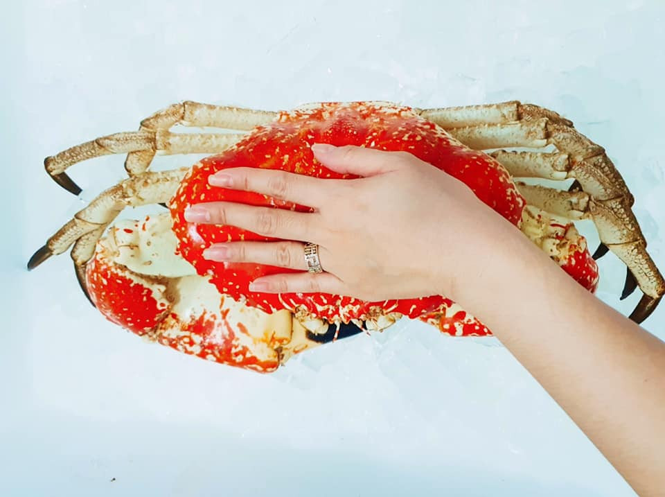 Cua Tasmania Úc có trọng lượng khá lớn, nhỏ nhất khoảng 3kg, loại lớn giá gần chục kg.