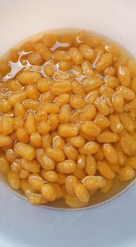 Vì tò mò, nhiều người đặt mua ăn thử. Tuy nhiên, mứt cau kiểng không thường xuyên có, khách hàng may mắn hỏi vào thời điểm có thì mua được ngay, còn không sẽ phải đợi. Ảnh: Facebook