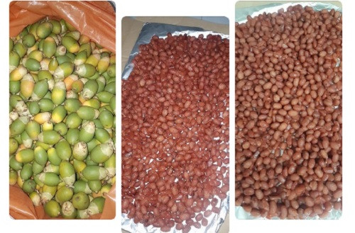 Nếu thời tiết ẩm ướt, mứt phải đem đi sấy lò sẽ khiến chúng rất cứng, độ dẻo cũng bớt đi phần nào. Ảnh: Facebook