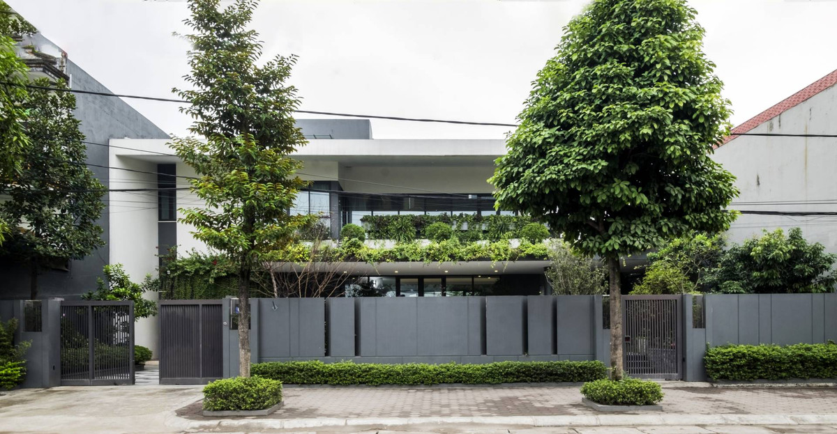 Bênh cạnh đó, cây tán rộng cũng rất phù hợp cho nhà hướng Tây, vì chúng có tán bao phủ, che chắn bớt lượng nắng chiếu vào nhà.