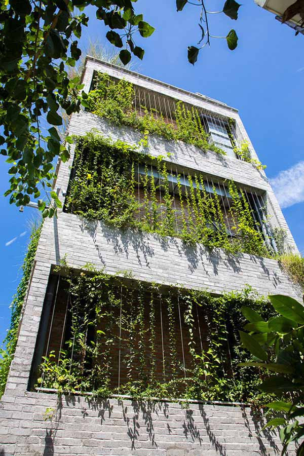 Đưa cây xanh vào nhà là giải pháp chống nóng hiệu quả. Tuy nhiên, lựa chọn cây xanh cho nhà hướng Tây cần có một số yêu cầu riêng.