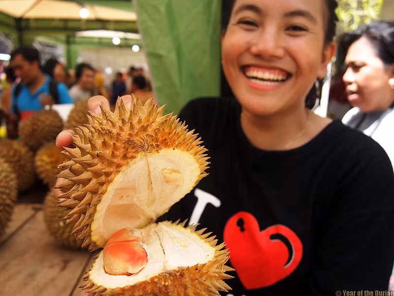 Sầu riêng Pelangi có thể trồng ở nhiều vùng khí hậu và có thời gian bảo quản kéo dài, giữ tươi từ 6 đến 7 ngày so với thời hạn sử dụng trung bình từ 2 đến 3 ngày của sầu riêng truyền thống.