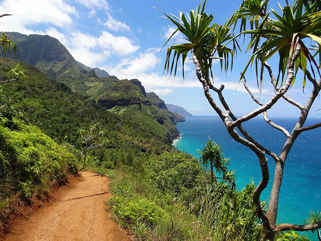 Kauai, Hawaii: Kauai được mệnh danh là thiên đường ngoài trời. Hòn đảo Hawaii này có tới 97% lãnh thổ nằm dưới các dãy núi và rừng. Đó là lý do tại sao Kauai là hòn đảo Hawaii xanh nhất, được tạo ra cho những người yêu thiên nhiên.