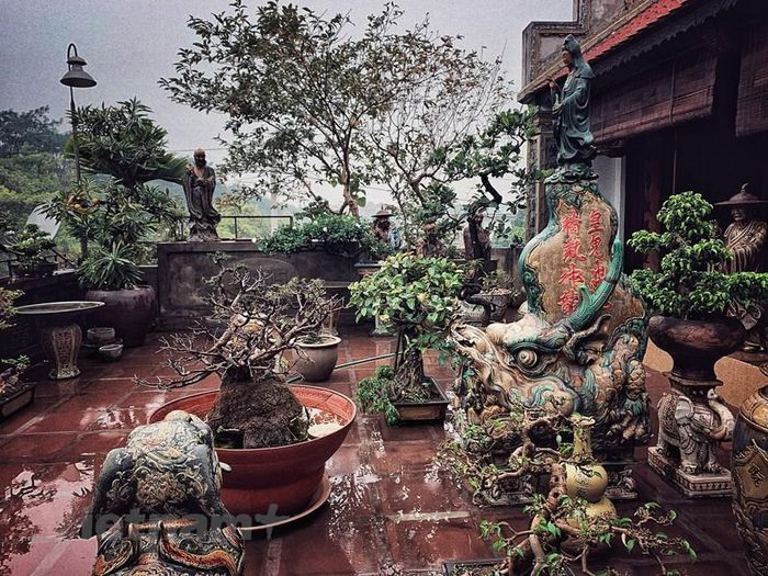 Trước hiên nhà là khu tiểu cảnh được đích thân gia chủ tạo tác. Ảnh: Xuân Mai/Vietnam+