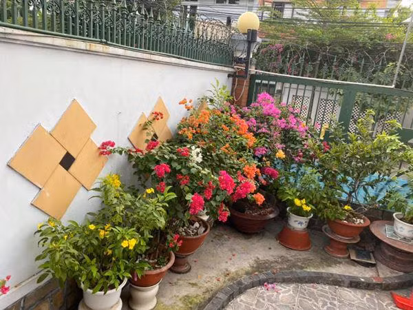 Hoa đủ sắc màu đua nhau nở. Nguồn ảnh: FBNV