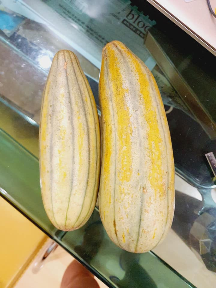 Nữ ca sĩ khoe hai trái dưa gang thu hoạch trong vườn nhà.