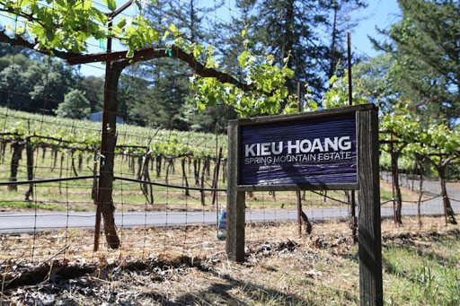 Tỷ phú Hoàng Kiều hiện giữ chức phó chủ tịch và nắm 35% cổ phần của công ty Shanghai RAAS Blood Products. Ngoài ra, ông còn xây dựng được công ty rượu vang Kiều Hoàng Winery nổi tiếng California. Ảnh: Internet