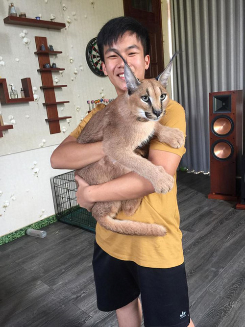 Ở tuổi 15, "thiếu gia" Hoàng Nhật Huy (Bảo Lộc, Lâm Đồng) đã sở hữu một "vườn thú mini" gồm các loài động vật đắt đỏ trị giá hàng tỷ đồng. Ảnh: Vietnamnet