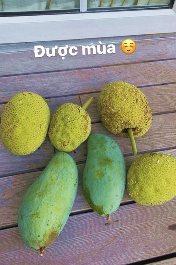 "Ngọc nữ màn ảnh Việt" hào hứng khoe thành quả thu hoạch được.