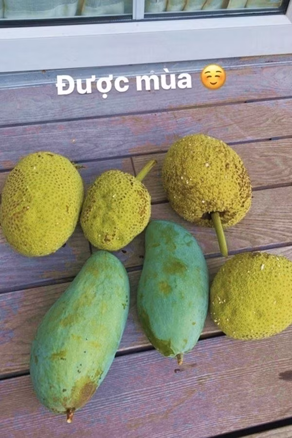 "Ngọc nữ màn ảnh Việt" hào hứng khoe thành quả thu hoạch được.