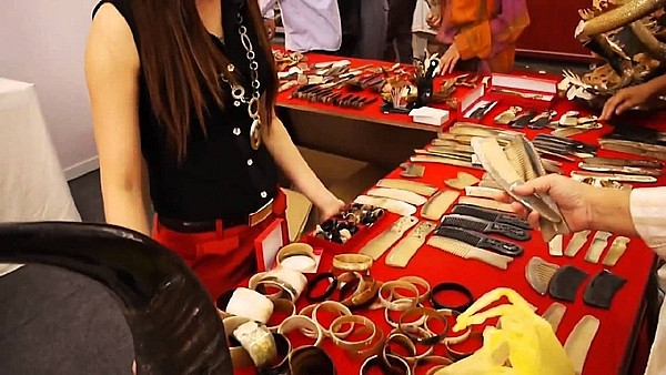 Ngoài lược, sừng trâu bò còn được chế tác thành nhiều sản phẩm như vòng trang sức, khay, đĩa...và tiêu thụ ở nhiều nơi khắp cả nước. Ảnh: Kinhtechungkhoan