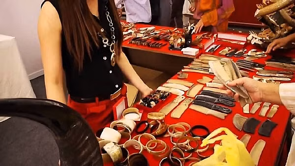 Ngoài lược, sừng trâu bò còn được chế tác thành nhiều sản phẩm như vòng trang sức, khay, đĩa...và tiêu thụ ở nhiều nơi khắp cả nước. Ảnh: Kinhtechungkhoan