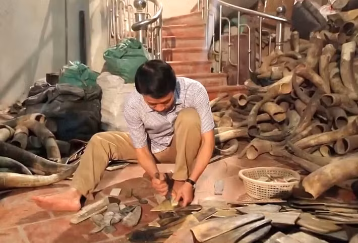 Mấy chục năm của thập kỷ 50, 60, 70 của thế kỷ 20, những chiếc lược sừng của làng Thụy Ứng đã trở thành một món hàng được nhiều nơi ưa chuộng. Ảnh: Tinnhanhchungkhoan.