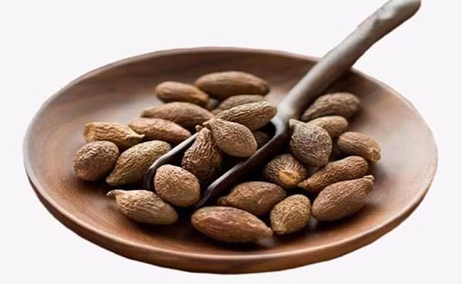 Quả ươi vừa là thảo dược chữa bệnh, vừa là một loại thức uống bổ dưỡng, thơm ngon và được thương lái thu mua với giá từ 150.000 - 350.000 đồng/kg. Nguồn ảnh: Getty.