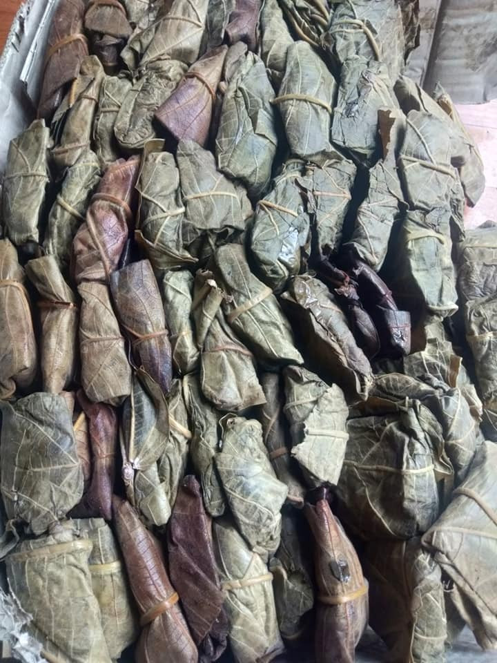 Chị Chiến (quê gốc ở Tuyên Quang) cho biết, cứ vào cuối tháng 2 đến đầu tháng 3 (Âm lịch), người dân các khu vực miền núi phía Bắc nước ta lại rủ nhau vào rừng kiếm trứng kiến.