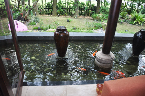 Trong khuôn viên biệt thự còn có hồ nuôi cá kiểng phong thủy, ngăn cách các khoảng không gian...Ảnh: Người lao động