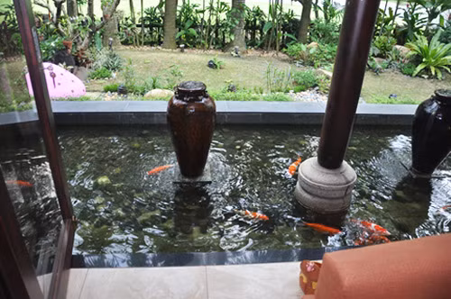 Trong khuôn viên biệt thự còn có hồ nuôi cá kiểng phong thủy, ngăn cách các khoảng không gian...Ảnh: Người lao động