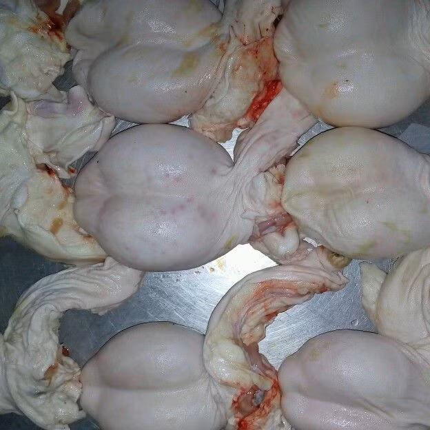 Chú Quang - chuyên kinh doanh thịt dê ở Ninh Bình tiết lộ, với dê núi đá Ninh Bình thì ngọc dương có thể lên tới 1 triệu đồng/bộ thậm chí vài triệu đồng phụ thuộc vào độ tuổi của dê. Tuy nhiên, không phải muốn mua là có. Ảnh: Internet