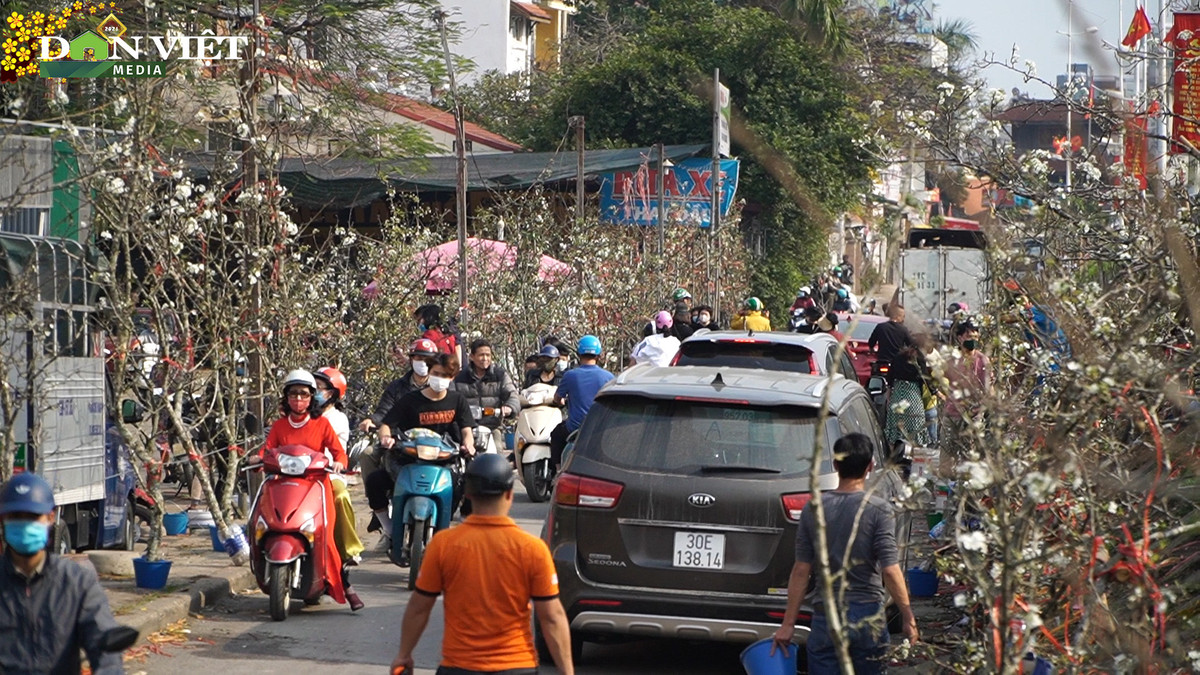 Những ngày này, chợ hoa Quảng An (Tây Hồ, Hà Nội) luôn tấp nập người mua, kẻ bán. Ảnh: Dân Việt.