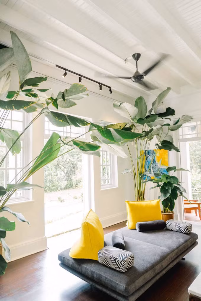 Cấu trúc biệt thự gồm một nhà lớn phía trước và hai nhà nhỏ phía sau.