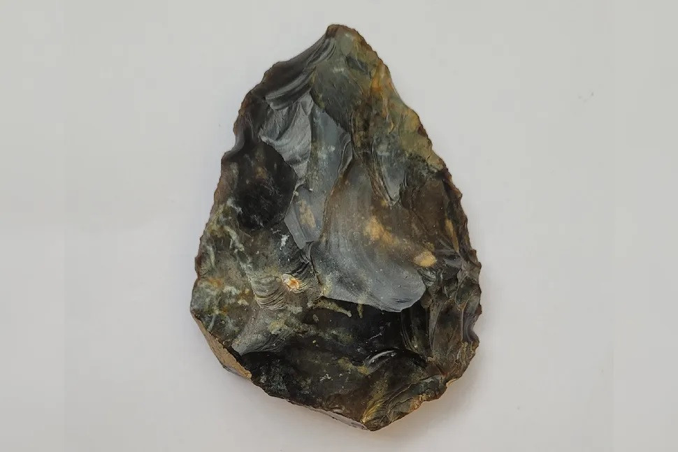 "Tôi luôn nhận được những email như thế này, đặc biệt là về những phát hiện trên bãi biển. Chúng thường chỉ là những viên sỏi có hình dáng kỳ quái. Thế nhưng, ngay khi nhìn thấy bức ảnh được mẹ của Ben gửi, tôi đã nghĩ đó là một chiếc rìu cầm tay của người Neanderthal thời kỳ đồ đá cũ muộn. Đây thực sự là một phát hiện đáng kinh ngạc", ông Sainsbury cho hay. Ảnh: Worthing Museum &amp; Art Gallery.