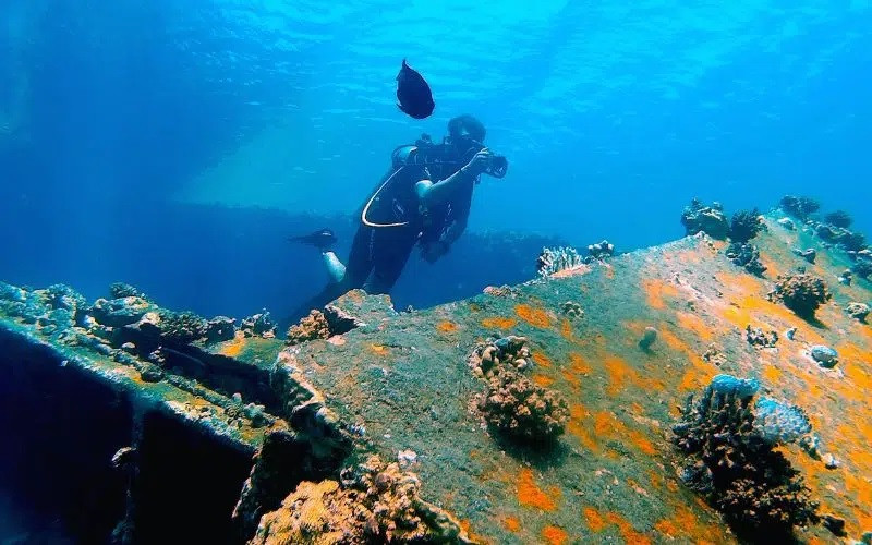 Trước khi phát hiện xác tàu đắm này, các chuyên gia chưa tìm thấy bằng chứng rõ ràng nào về hoạt động thương mại giữa các khu vực trên.