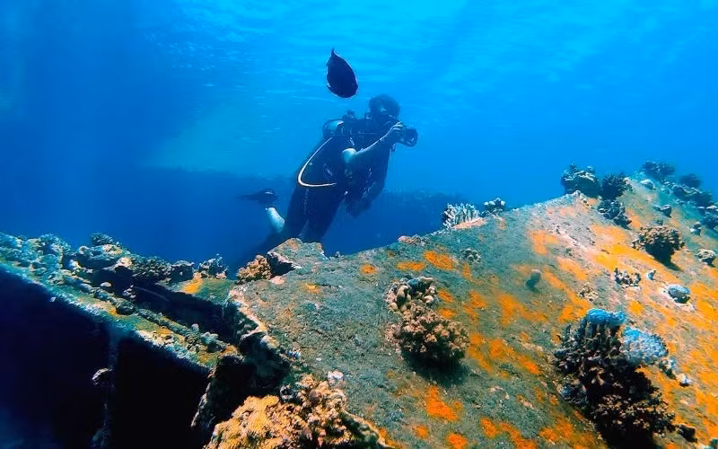 Trước khi phát hiện xác tàu đắm này, các chuyên gia chưa tìm thấy bằng chứng rõ ràng nào về hoạt động thương mại giữa các khu vực trên.
